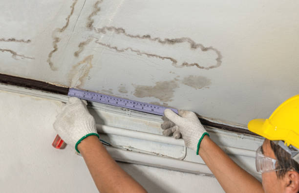 Reliable Sewage Cleanup contractor in Kingston, MI by Local Water Damage Repair